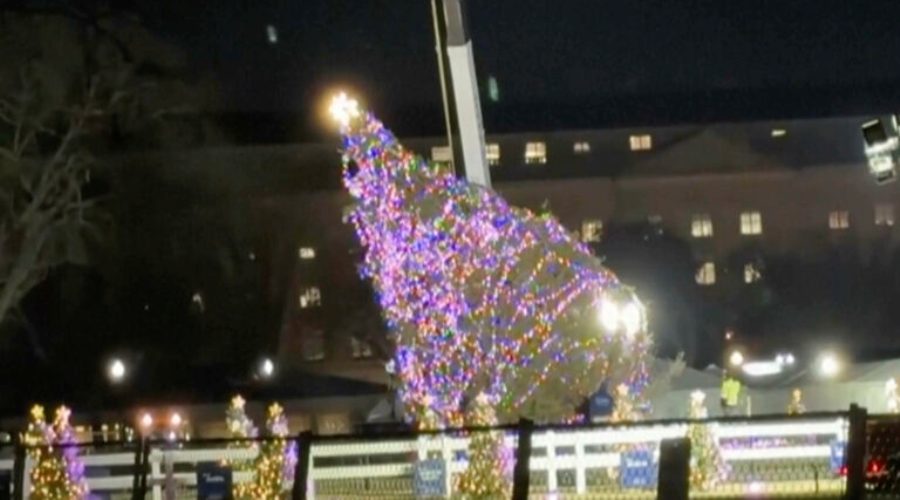 US White House Christmas Tree