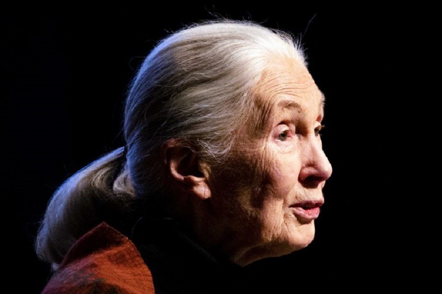 jane_goodall