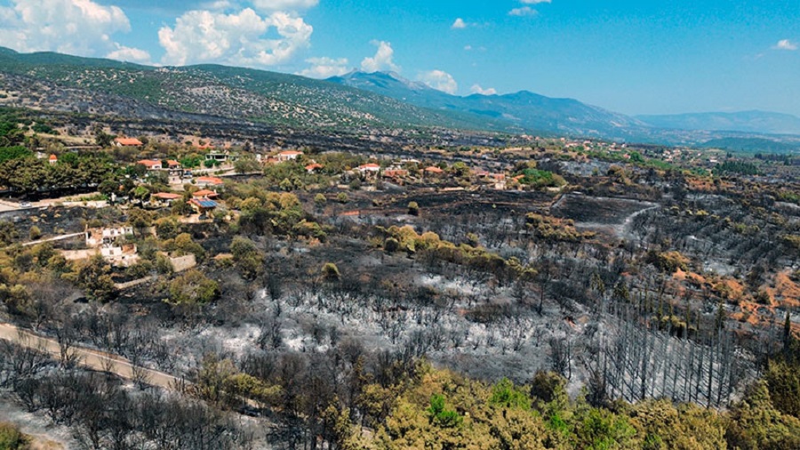 ΝΕΣΤΟΣ