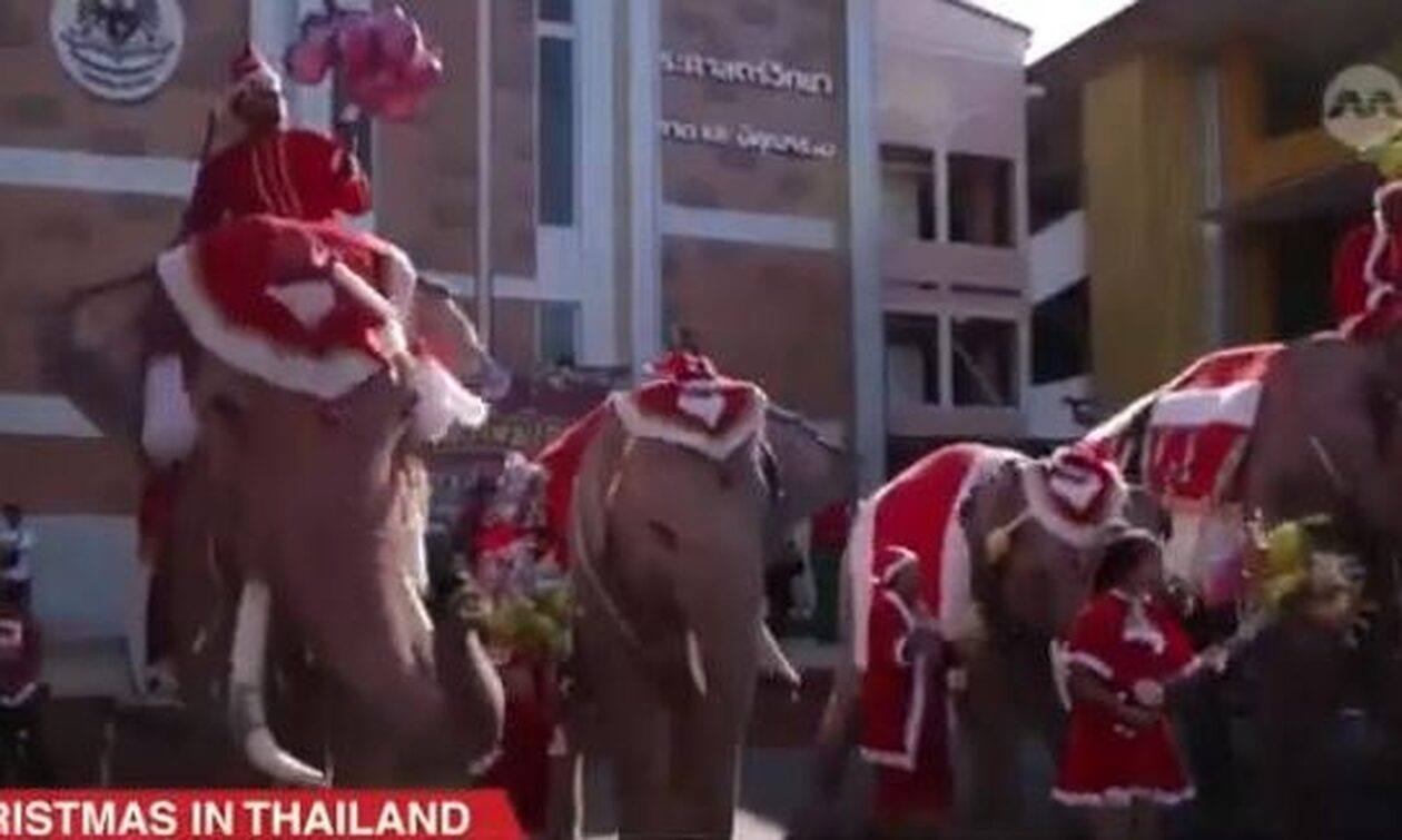 Tailandi_thailand-elephants