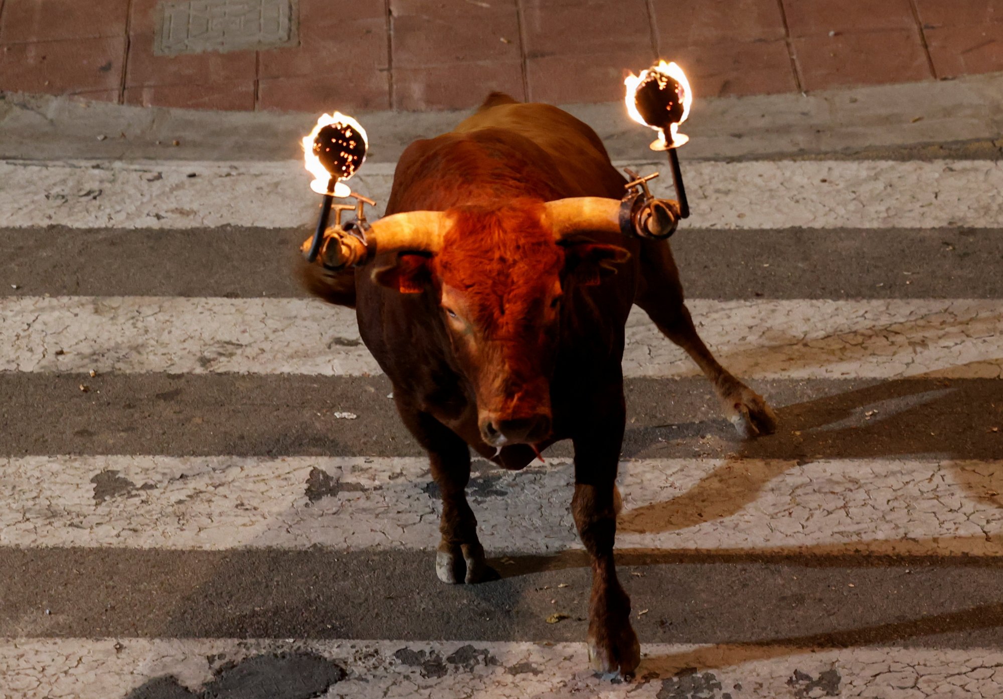 2023-09-17T030103Z_1707771166_RC2Z93AS6OL4_RTRMADP_5_SPAIN-CULTURE-BULLS