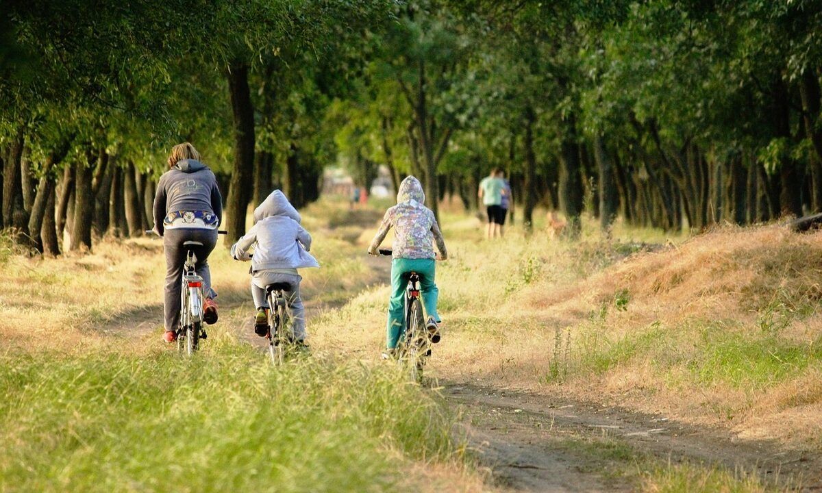 family-bike-forest