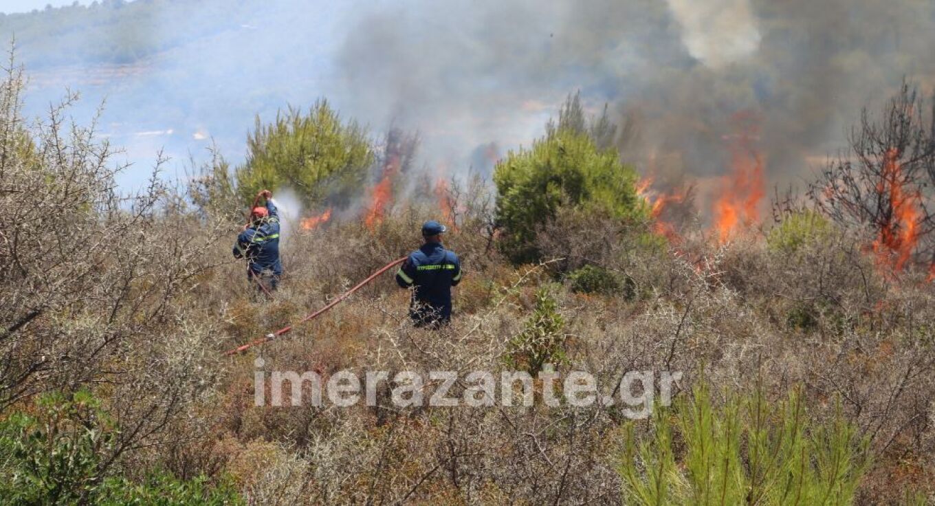 fotia-zakinthos