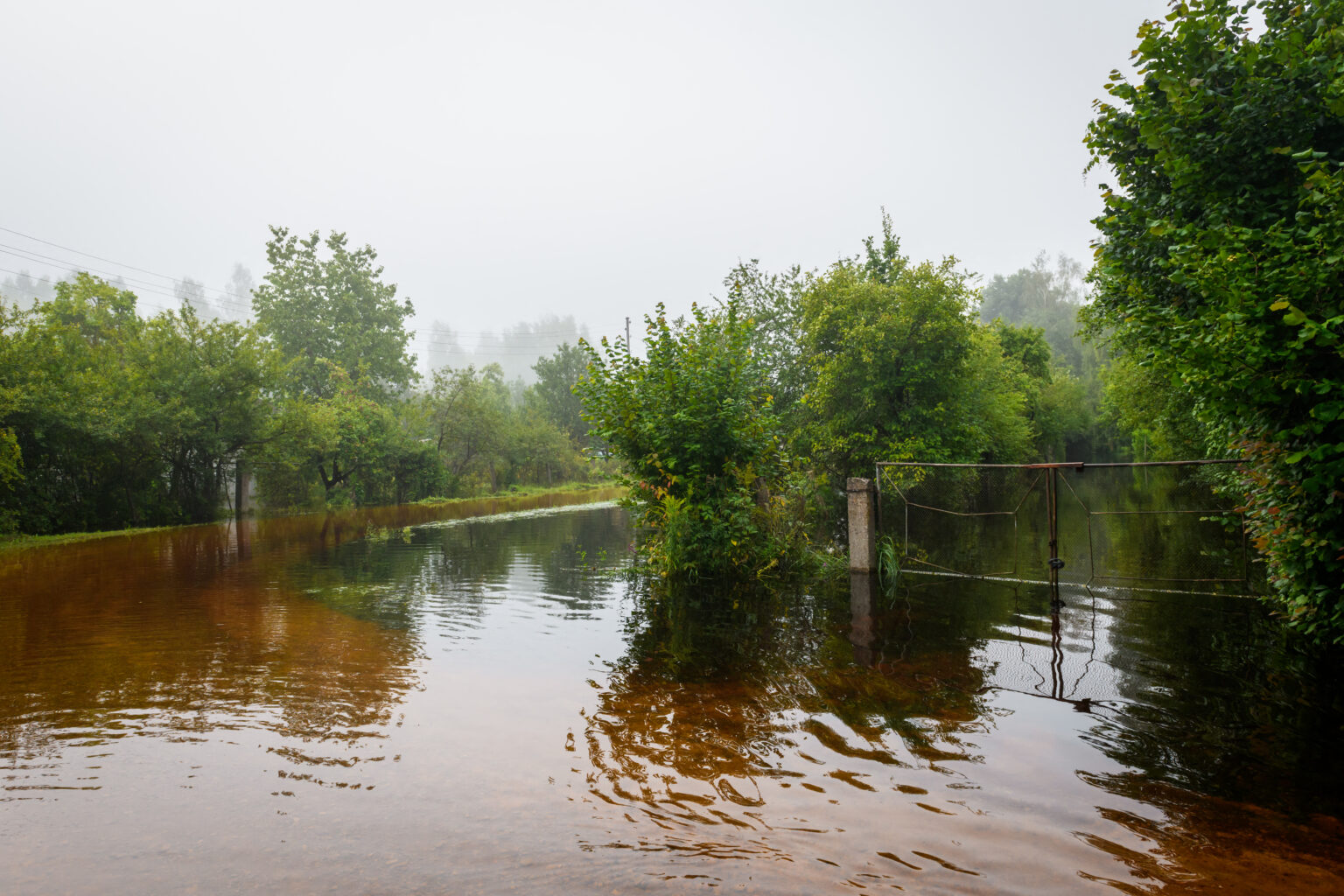 Aftermath of a heavy rainstorm shows flooded streets along the Svete river around the city of Jelgava, Latvia, on August 4, 2024. Floodwaters flowing in from neighbouring Lithuania are keeping parts of rural central Latvia underwater, a week after a storm lashed the Baltic state with record quantities of rain, officials said.
The Baltic seaside resort Jurmala was hit with severe winds, which uprooted tens of thousands of trees and caused widespread damage to homes. (Photo by Gints Ivuskans / AFP)