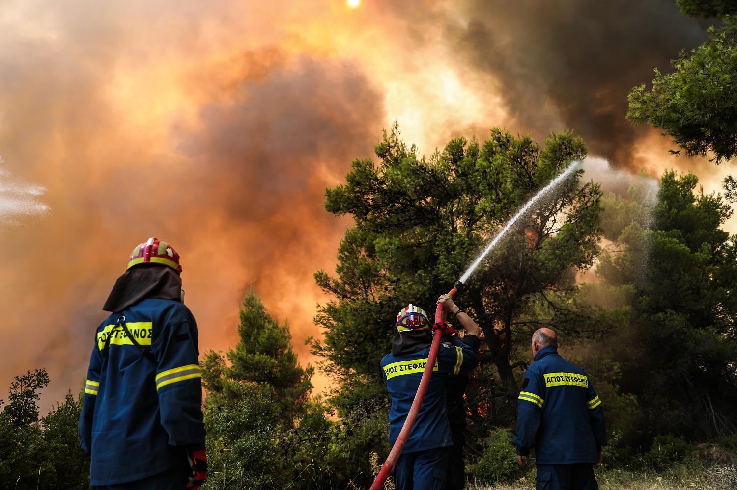 Αναζωπύρωση της πυρκαγιάς στην Βαρυμπόμπη, Πέμπτη 5 Αυγούστου 2021. Στιγμιότυπο από το Κρυονερι
(EUROKINISSI/ΒΑΣΙΛΗΣ ΡΕΜΠΑΠΗΣ)