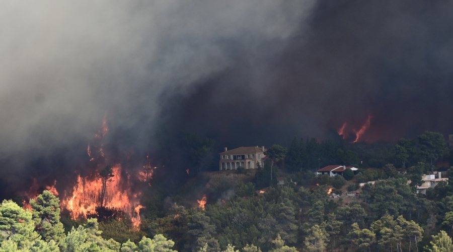 Πυρκαγιά στον Βαρνάβα Αττικής, Κυριακή 11 Αυγούστου 2024 (ΜΙΧΑΛΗΣ ΚΑΡΑΓΙΑΝΝΗΣ / EUROKINISSI)