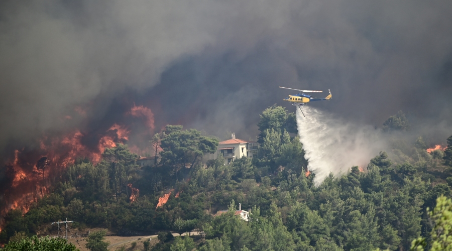 Πυρκαγιά στον Βαρνάβα Αττικής, Κυριακή 11 Αυγούστου 2024 (ΜΙΧΑΛΗΣ ΚΑΡΑΓΙΑΝΝΗΣ / EUROKINISSI)