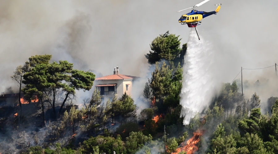 Πυρκαγιά στον Βαρνάβα Αττικής, Κυριακή 11 Αυγούστου 2024 (ΜΙΧΑΛΗΣ ΚΑΡΑΓΙΑΝΝΗΣ / EUROKINISSI)