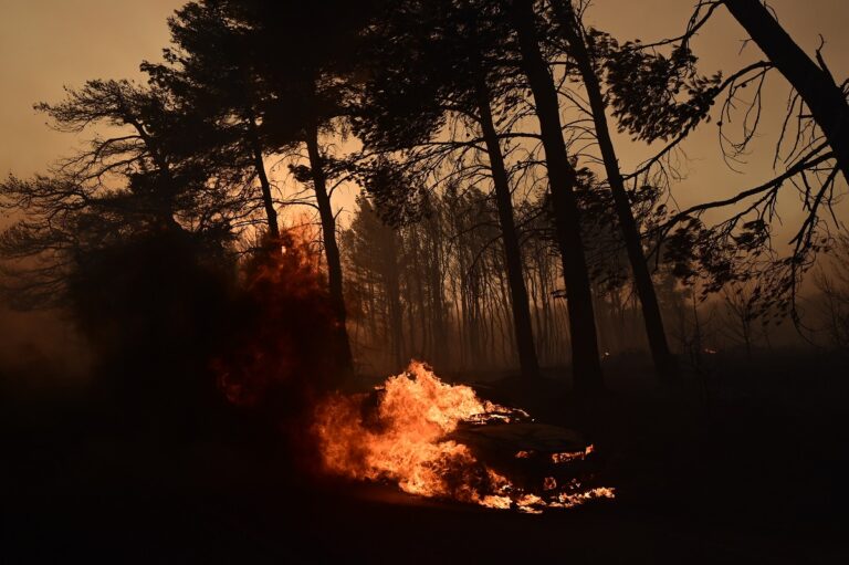 Πυρκαγιά στον Βαρνάβα Αττικής, Κυριακή 11 Αυγούστου 2024 (ΜΙΧΑΛΗΣ ΚΑΡΑΓΙΑΝΝΗΣ / EUROKINISSI)