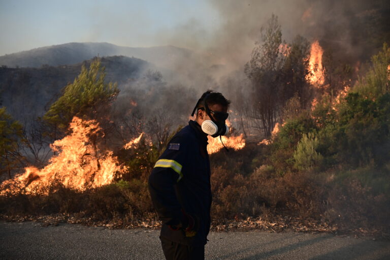 Πυρκαγιά στη Βορειοανατολική Αττική. Δευτέρα 12 Αυγούστου 2024  (ΜΙΧΑΛΗΣ ΚΑΡΑΓΙΑΝΝΗΣ / EUROKINISSI)