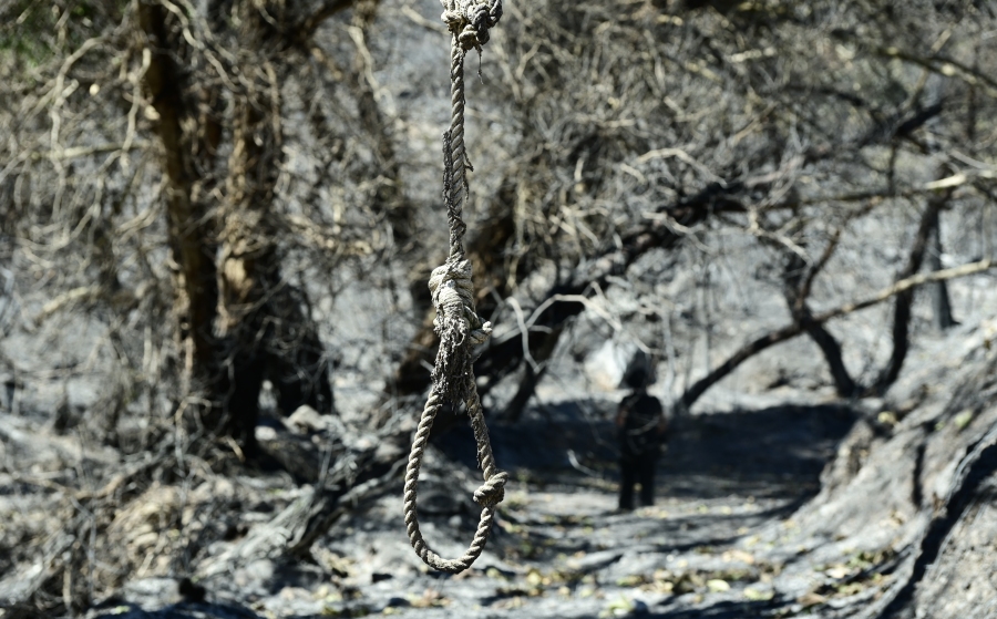 Πυρκαγιά στη Βορειοανατολική Αττική. Επόμενη ημέρα. Βαρνάβας. Τρίτη 13 Αυγούστου 2024  (ΜΙΧΑΛΗΣ ΚΑΡΑΓΙΑΝΝΗΣ / EUROKINISSI)