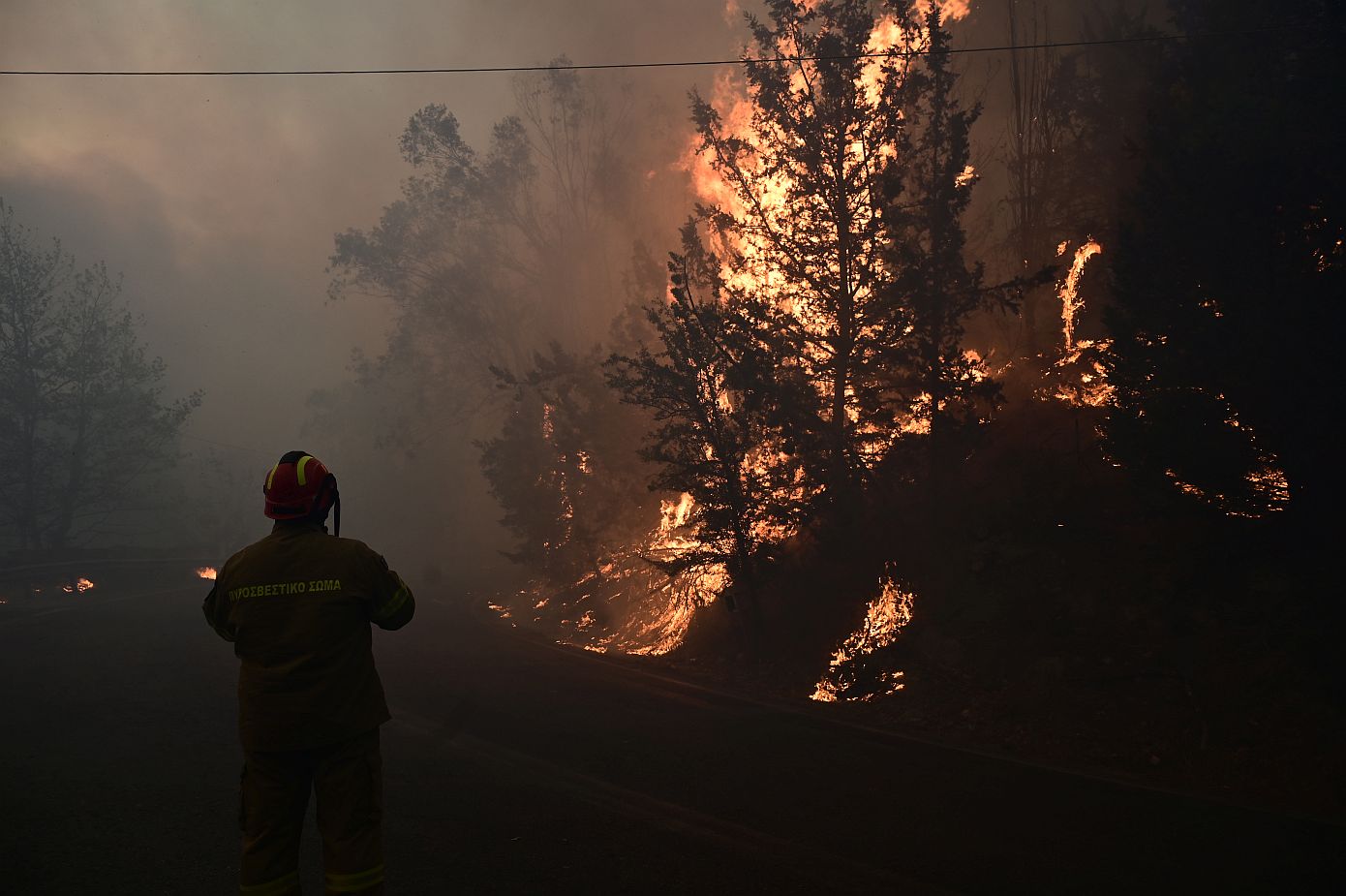 Πυρκαγιά στον Βαρνάβα Αττικής, Κυριακή 11 Αυγούστου 2024 (ΜΙΧΑΛΗΣ ΚΑΡΑΓΙΑΝΝΗΣ / EUROKINISSI)