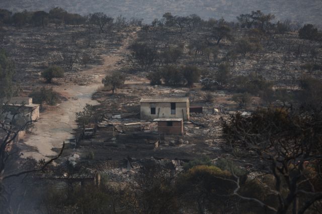 Πυρκαγιά στην περιοχή της Μάνδρας, Τετάρτη 19 Ιουλίου 2023. 
(ΒΑΣΙΛΗΣ ΡΕΜΠΑΠΗΣ/EUROKINISSI)