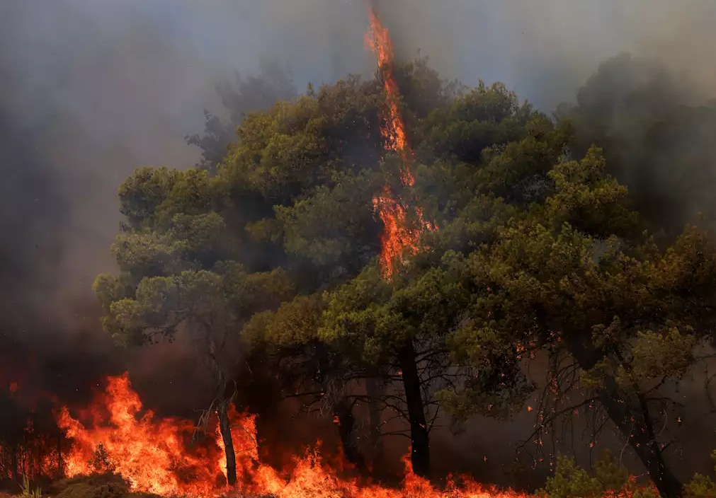 νγφνγφνγφγ