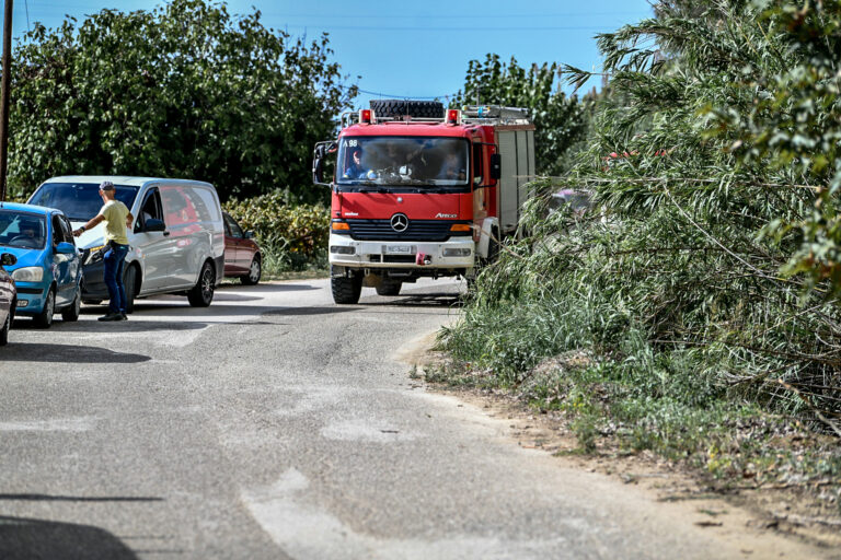 ΠΥΡΚΑΓΙΑ ΣΕ ΔΑΣΙΚΗ ΕΚΤΑΣΗ ΣΤΗ ΠΕΡΙΟΧΗ ΓΕΡΑΚΙ ΑΜΑΛΙΑΔΑΣ ΣΤΗΝ ΗΛΕΙΑ  Παρασκευή 4 Οκτωβρίου 2024 (ΓΙΑΝΝΗΣ ΣΠΥΡΟΥΝΗΣ/ILIALIVE.GR/EUROKINISSI)