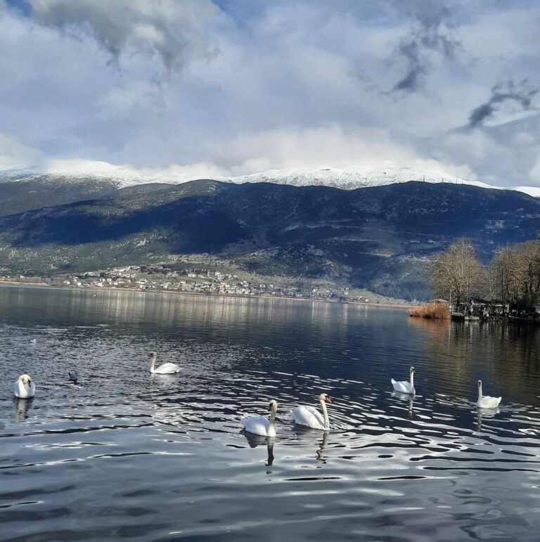 ioannina-768x771