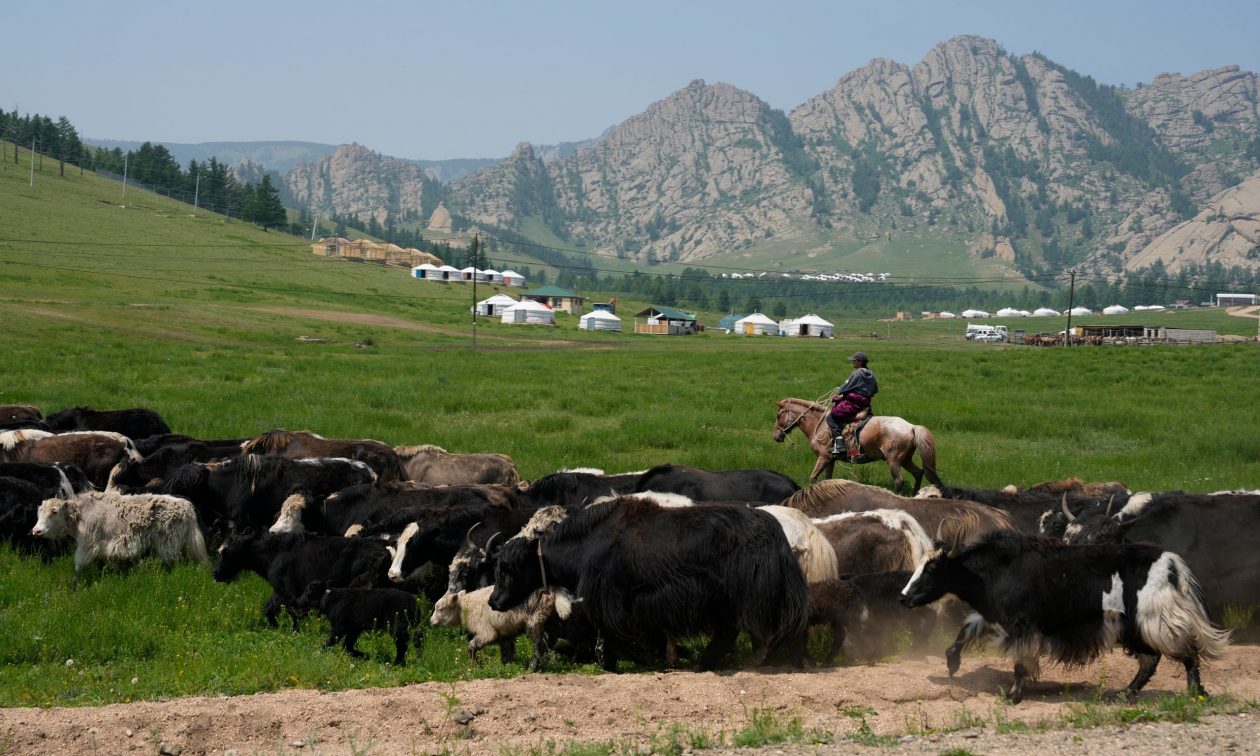 mongolia