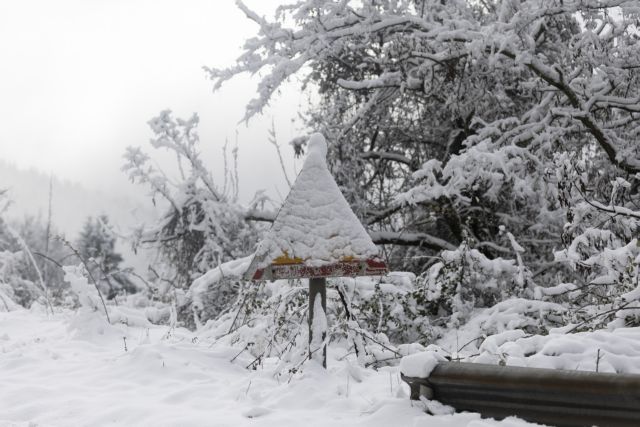 Snow-covered Metsovo, Epirus on January 26, 2023. / Χιονισμένο τοπίο στο Μέτσοβο, Ήπειρος, 26 Ιανουαρίου 2023.