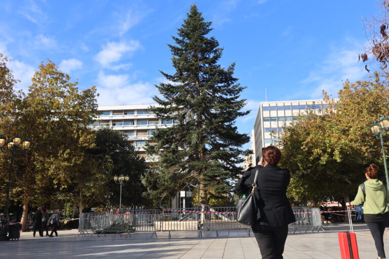 Στήθηκε από συνεργεία του δήμου Αθηναίων, το χριστουγεννιάτικο δέντρο ύψους 19,5 μέτρων στην πλατεία Συντάγματος, Παρασκευή 22 Νοεμβρίου 2024. Το ηλικίας 60 ετών έλατο το οποίο φυτεύτηκε το 1963, μεταφέρθηκε από τον Ταξιάρχη Χαλκιδικής.  
(ΓΙΑΝΝΗΣ ΠΑΝΑΓΟΠΟΥΛΟΣ/EUROKINISSI)