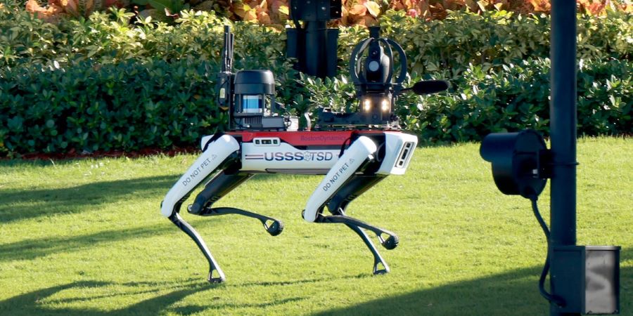 robot-dog