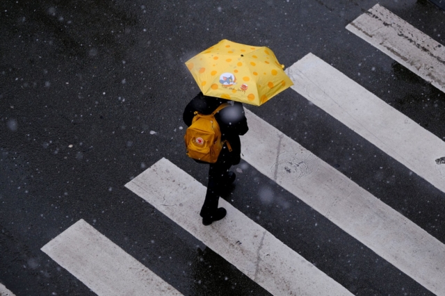 Snowfall in city of Brussels, Belgium on March 8, 2023