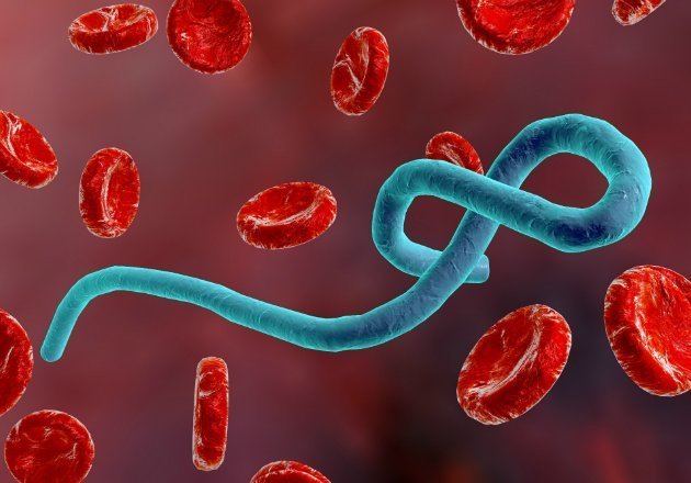 ebola-virus