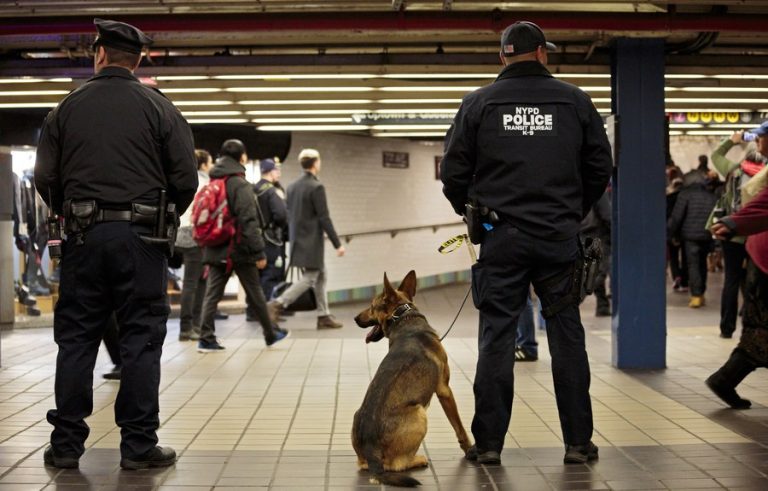 New-York-police-Metro-subway