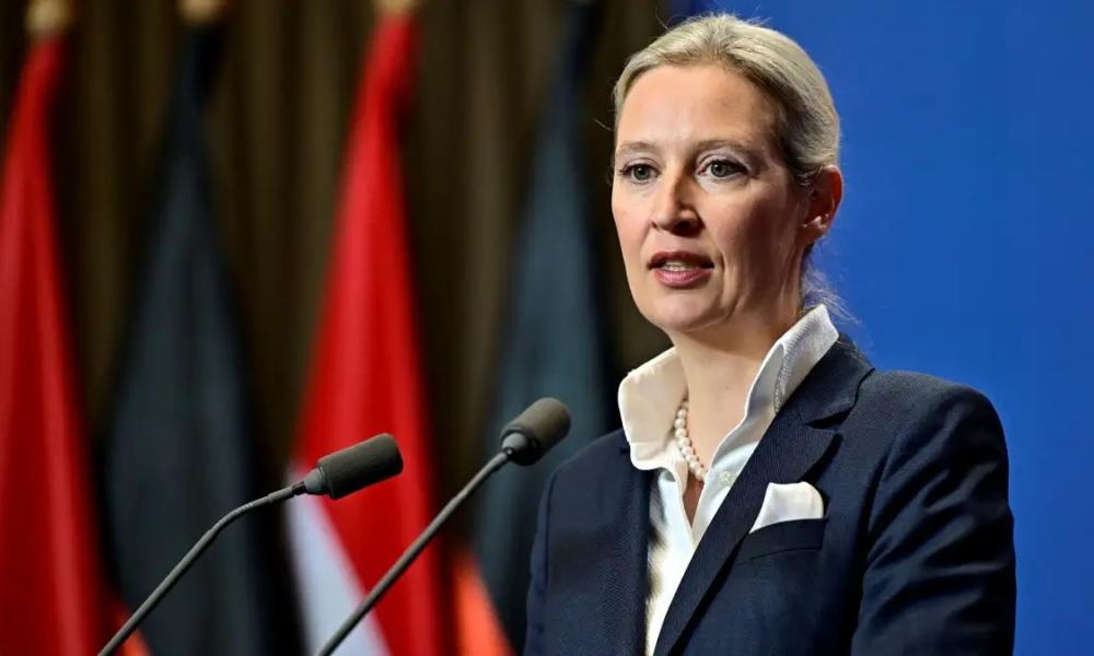 alice-weidel_0