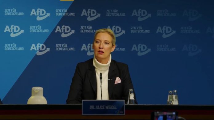 mc-alice-weidel-1-696x392